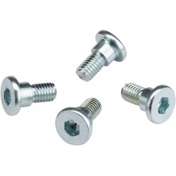 BOLTS ROTOR HON/TM