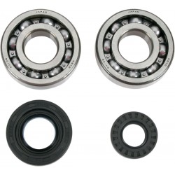 BEARINGS SLS CRNK YZ250