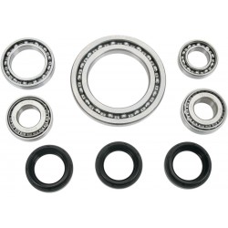 FRT WHL DIFF BRG KIT SUZ
