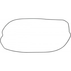 CLTCH CVR GSKT CR250 02-