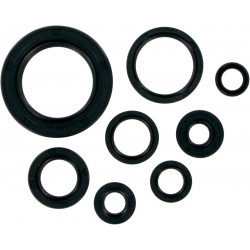 MSE MTR SEALS CR250/500