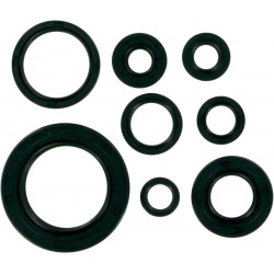 MSE MTR SEALS CR250'92-01