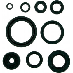 MSE MTR SEALS YZ250'88-9