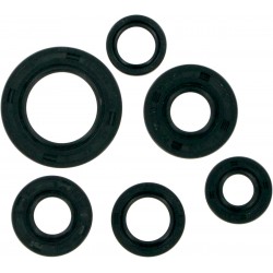 MSE MTR SEALS TRX300EX