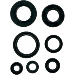 MSE MTR SEALS YSF200