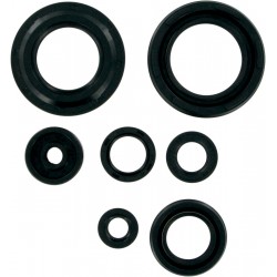 MSE MTR SEALS YFZ350