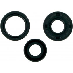 OIL SEALS-ATC/TRX250