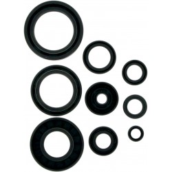 MSE MTR SEALS YZ125 01-03