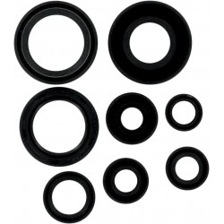 MSE MTR SEALS YZ85 02-
